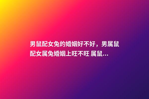 男鼠配女兔的婚姻好不好，男属鼠配女属兔婚姻上旺不旺 属鼠男和属兔女相配吗-第1张-观点-玄机派